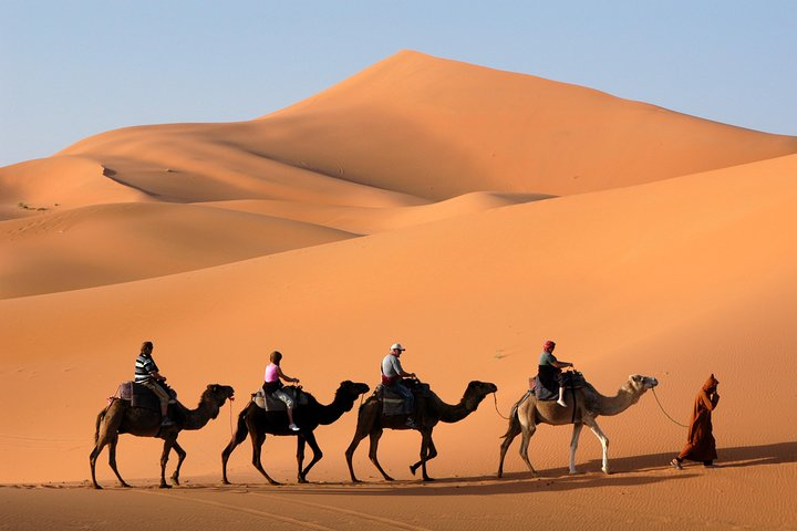 Experience the serene beauty of the Arabian desert at sunset riding camels to a Bedouin camp. Engage in traditional activities while savoring the rich heritage of ancient Arabia.